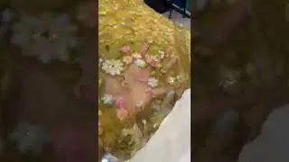 Sequence fabric | sequence Lehenga | net fabric #sequence #netfabric #material #saree #shorts
