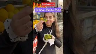 Authentic Must Try Jammu Street Food | My Top 7 Recommendations for Jammu Street Food #jammufood
