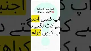 Why do we feel others' pain? 🩸🧠 #shorts #urdu #science
