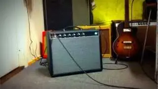 Custom Princeton Reverb II