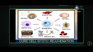 CURE CELL PRODUCT TRAINING BY MUKKU BALIREDDY GARU 09.12.2025