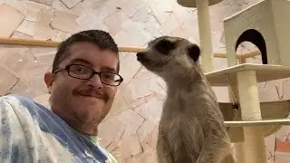 Harry&rsquo;s Animal/Hedgehog Cafe