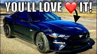 Why you&rsquo;ll love the 2018 Ford Mustang GT!!!