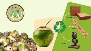 CoCycle &ndash; Cleaner Cities, Greener Future | Coconut Waste Recycling