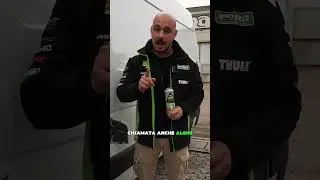 Brutta roba le alghe nel serbatoio...