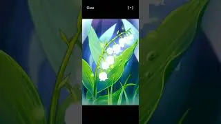 Mystic Messenger Walkthrough | Ray Day 6