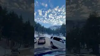 Usho forest 🌲🌳 #viralvideo #snow #ytshorts #yt #travel #weather #foryou #fyp #ff #fypシ゚ #shorts