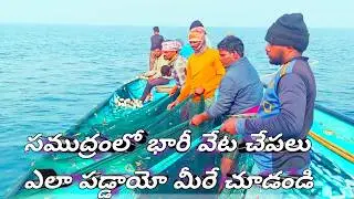 సముద్రం మధ్యలో భారీ వేట ఎన్ని చేపలు పడ్డాయో చూడండి Deep Sea Fishing Vlog Telugu