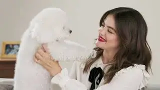 PetSmart Treats: How to Get the Best Deals for Your Pets with Lucy Hale