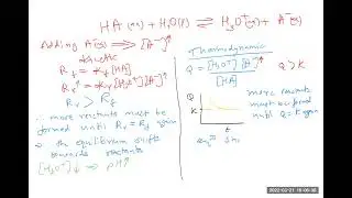 Equilibrium Shifts--Kinetic vs. Thermodynamic Perspectives