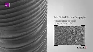 EL Esthetic Line implant -   C-Tech Implant