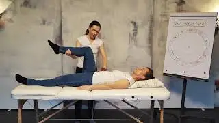 Kinesiologie Muskeltests TFH 1