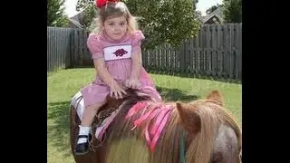 Pony Rental Orange County Los Angeles Kids Party! 888 501 4FUN FUNFACTORYPARTIES.COM