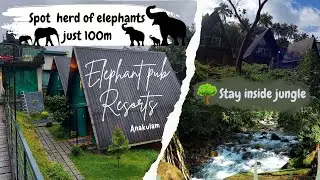 Budget Friendly Premium Resort in Munnar | Jungle Stay River access | Elephant Pub Anakulam  #munnar