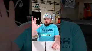 Best Spring Bass Lures (Top 5 Picks)