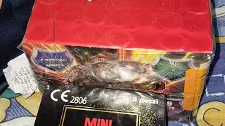 8&deg;CARICO Di Capodanno + IL RITORNO🎆🤯 #fireworks #firecracker #viralvideo #perte #1k 