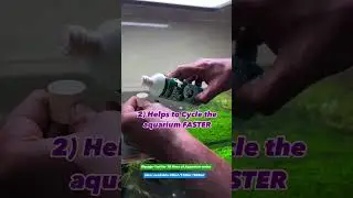 How to bacteria boost plus?
