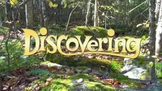 Discovering - Why Trees Change Color in the Fall