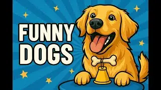 Funny Dog Videos of 2025 | Dog DJ | Space Dog #funny #dog #goldenretriever #cute