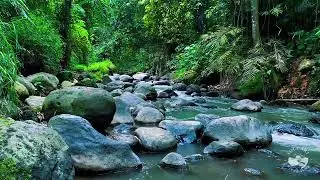 River Sounds for Sleeping All Night Long | Gentle Natural Flowing Water Ambience