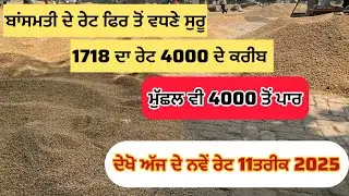 ਬਾਂਸਮਤੀ ਦੇ ਰੇਟ ਫਿਰ ਤੋਂ ਵਧਣੇ ਸੁਰੂ ਮੁੱਛਲ 4000 ਤੋਂ ਹੋਈ ਪਾਰ ਦੇਖੋ ਨਵੇਂ ਰੇਟ 1718,1509,1501,1885 #basmati 