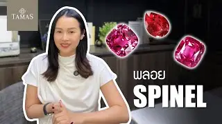 TAMAS Story Ep.2 มารู้จักพลอย Spinel กัน  | TAMAS Jewelry