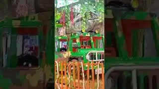 KESEHARIAN GHOZY ⭐ LIHAT DINOSAURUS MAKAN MOBIL 😱 #amazone