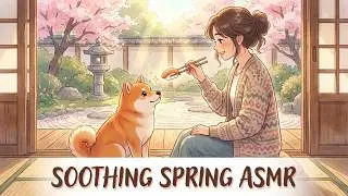 Quiet Sushi Morning with a Shiba Inu 🐕| Zen Spring Sushi Craft (Ghibli Style)