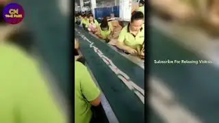 The Fastest Workers in the World - Compilation