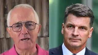 Malcolm Turnbull labels new Opposition Leader as &lsquo;best qualified idiot&rsquo;