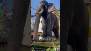 #mysoredussehra #mysorediaries #travel