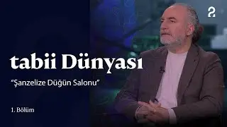 tabii D&uuml;nyası | 