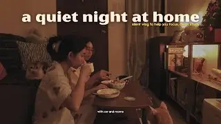 in love and living together ⋆｡ﾟ☁︎｡⋆｡☾⋆ a quiet vlog to help you focus | with cor and momo