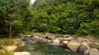 Discover The Natural Beauty Of Khao Sok National Park On A Relaxing Hike Through The Jungle.