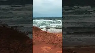 Fall in Prince Edward Island, Canada 🍁 Top Spots to Visit #explorecanada #princeedwardisland