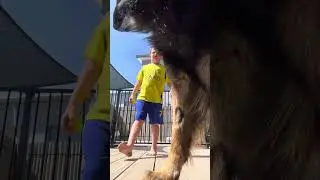How to do handball tricks!