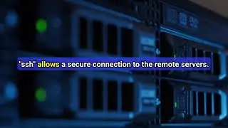 Linux 101: The Essentials You NEED to Know