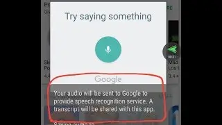Solution: Your audio will be sent to Google to provide speech recognition service.