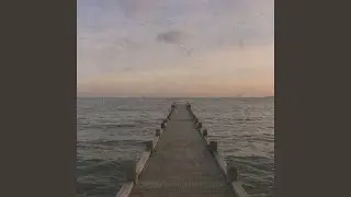 Mozart Lacrimosa Variation (From Requiem, K. 626, Arr. for Piano and Cello by Svetoslav Karparov)