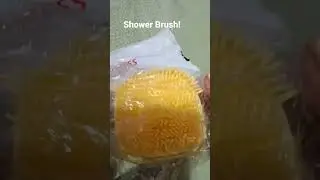 Shower brush for Squid! My Maltese Poodle.
