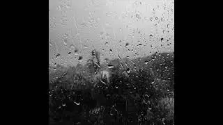 Stk Ensemble - Dew