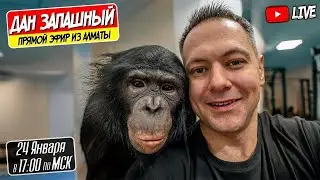 🔴 Первый Стрим 2026 с Даном Запашным и Шимпанзе Боней!