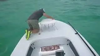 Sage Salt Fly Rod Tarpon Fishing - How Not to Break a Rod