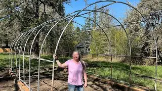 Hoop Coop build/Putting up the frame!