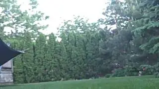 Running into a tree