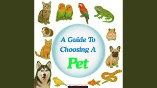 Top Low-Maintenance Pets