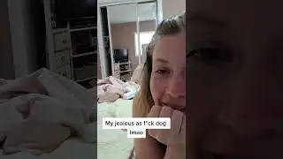 Hilarious Jealous Dog Mimics a Kitten's Meow for Attention#jealousdog #dogantics