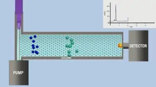 Chromatography animation