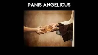 Special Music -  Panis Angelicus