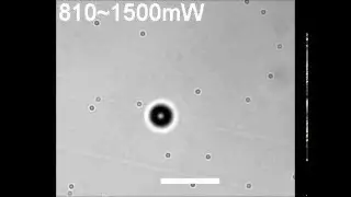 Three-dimensional manipulation of single cells using surface acoustic waves